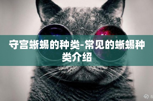 守宮蜥蜴的種類-常見的蜥蜴種類介紹