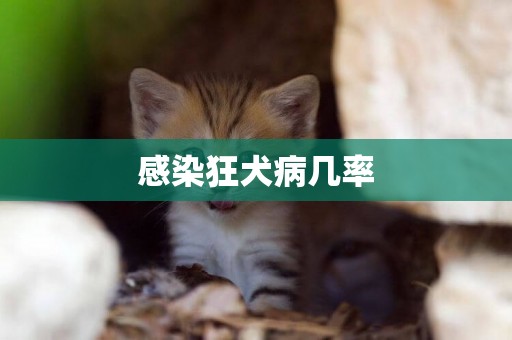 感染狂犬病幾率
