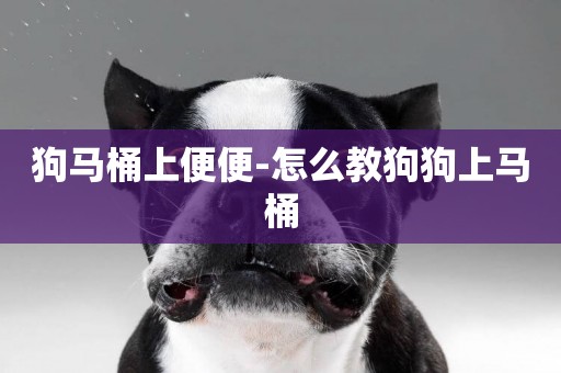 狗馬桶上便便-怎么教狗狗上馬桶