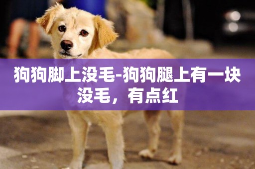 狗狗腳上沒毛-狗狗腿上有一塊沒毛，有點紅