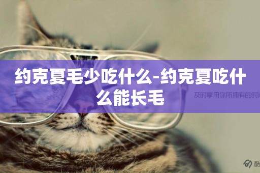 約克夏毛少吃什么-約克夏吃什么能長毛