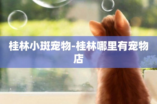 桂林小斑寵物-桂林哪里有寵物店
