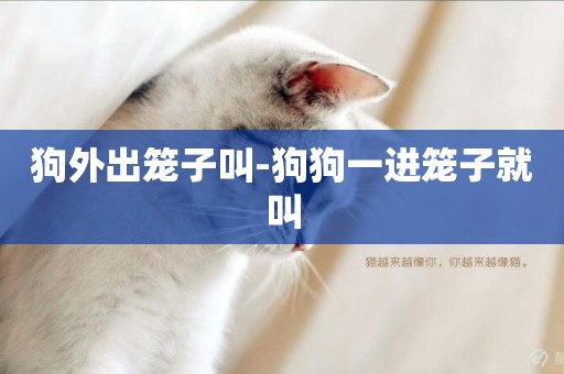 狗外出籠子叫-狗狗一進籠子就叫