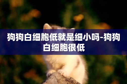 狗狗白細胞低就是細小嗎-狗狗白細胞很低