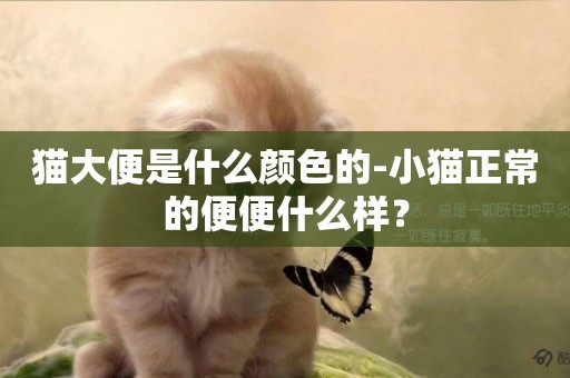 貓大便是什么顏色的-小貓正常的便便什么樣？