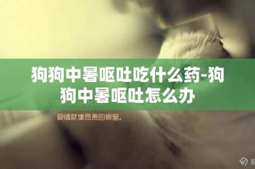 狗狗中暑嘔吐吃什么藥-狗狗中暑嘔吐怎么辦