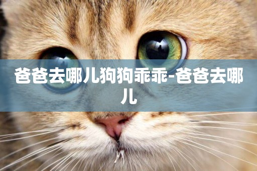 爸爸去哪兒狗狗乖乖-爸爸去哪兒