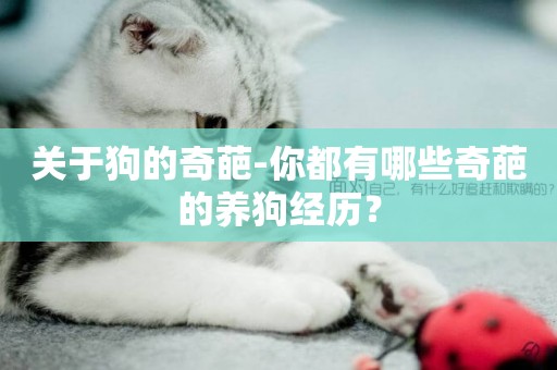 關于狗的奇葩-你都有哪些奇葩的養狗經歷？