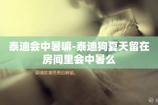 泰迪會中暑嘛-泰迪狗夏天留在房間里會中暑么
