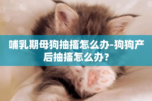 哺乳期母狗抽搐怎么辦-狗狗產后抽搐怎么辦？
