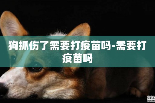 狗抓傷了需要打疫苗嗎-需要打疫苗嗎