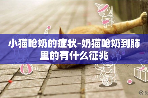 小貓嗆奶的癥狀-奶貓嗆奶到肺里的有什么征兆
