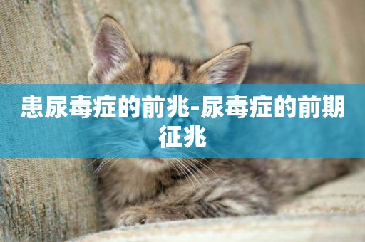 患尿毒癥的前兆-尿毒癥的前期征兆