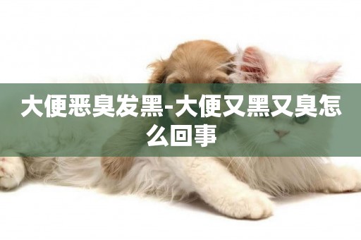 大便惡臭發黑-大便又黑又臭怎么回事