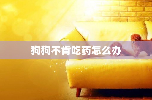 狗狗不肯吃藥怎么辦