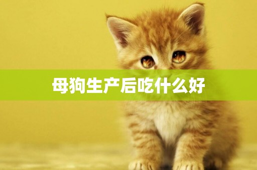 母狗生產后吃什么好