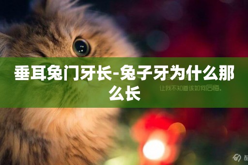 垂耳兔門牙長-兔子牙為什么那么長