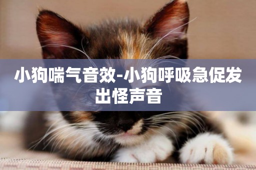 小狗喘氣音效-小狗呼吸急促發出怪聲音