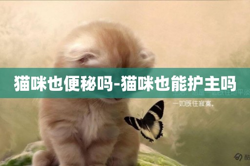 貓咪也便秘嗎-貓咪也能護主嗎