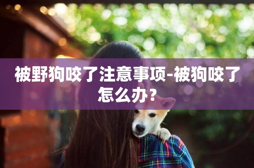 被野狗咬了注意事項-被狗咬了怎么辦？