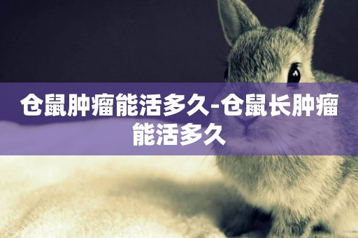 倉鼠腫瘤能活多久-倉鼠長腫瘤能活多久