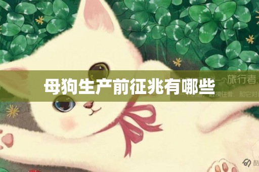 母狗生產前征兆有哪些