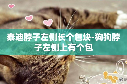 泰迪脖子左側長個包塊-狗狗脖子左側上有個包