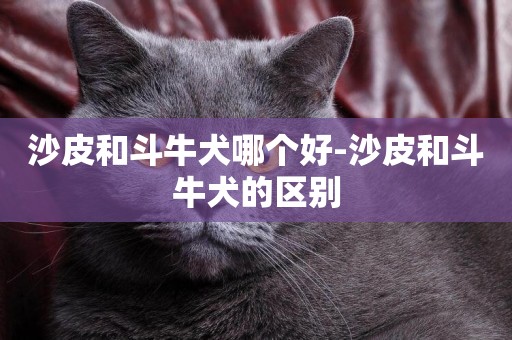 沙皮和斗牛犬哪個好-沙皮和斗牛犬的區別