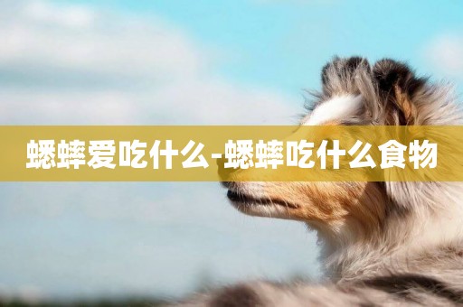 蟋蟀愛吃什么-蟋蟀吃什么食物