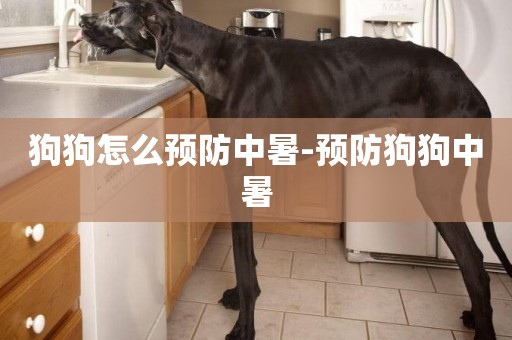 狗狗怎么預防中暑-預防狗狗中暑