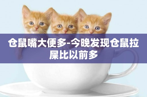 倉鼠嘴大便多-今晚發現倉鼠拉屎比以前多