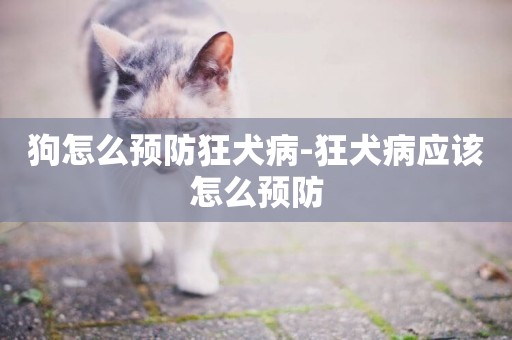 狗怎么預防狂犬病-狂犬病應該怎么預防