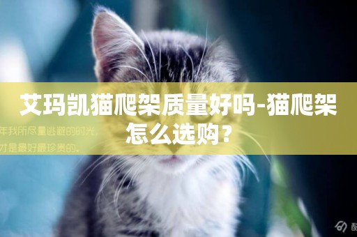 艾瑪凱貓爬架質量好嗎-貓爬架怎么選購？