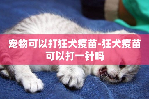 寵物可以打狂犬疫苗-狂犬疫苗可以打一針嗎