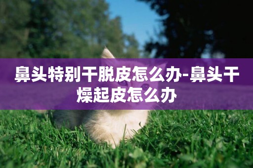鼻頭特別干脫皮怎么辦-鼻頭干燥起皮怎么辦