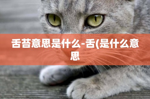 舌苔意思是什么-舌(是什么意思