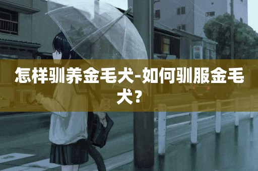 怎樣馴養金毛犬-如何馴服金毛犬？