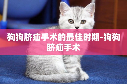 狗狗臍疝手術的最佳時期-狗狗臍疝手術
