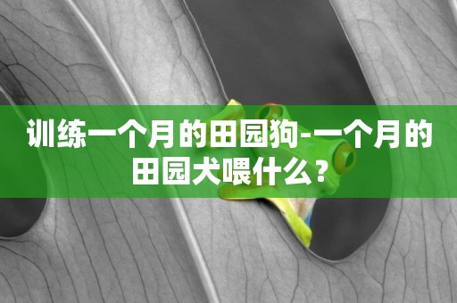 訓練一個月的田園狗-一個月的田園犬喂什么？