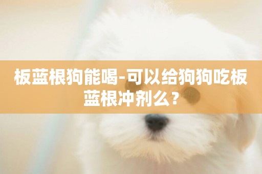 板藍根狗能喝-可以給狗狗吃板藍根沖劑么？