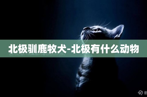 北極馴鹿牧犬-北極有什么動物