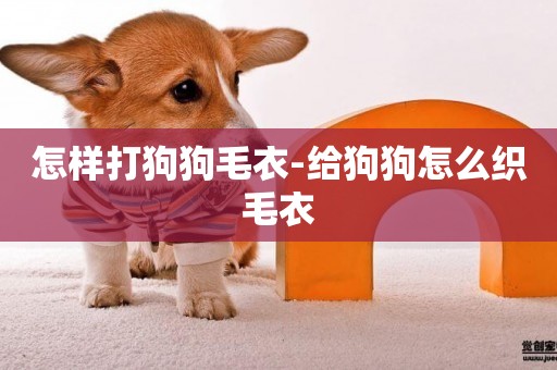 怎樣打狗狗毛衣-給狗狗怎么織毛衣