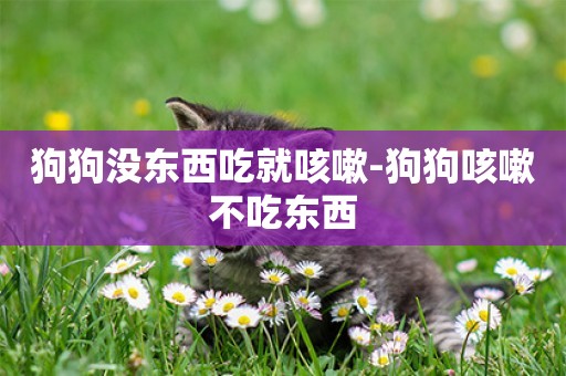 狗狗沒東西吃就咳嗽-狗狗咳嗽不吃東西