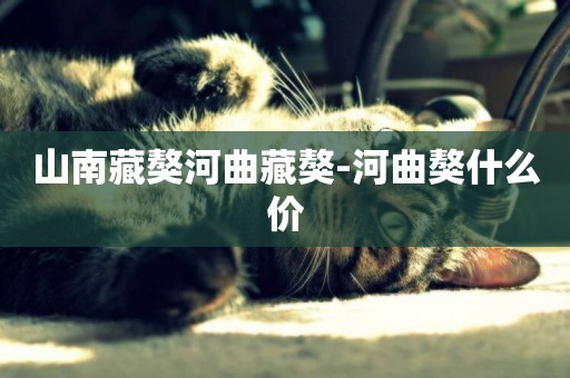 山南藏獒河曲藏獒-河曲獒什么價