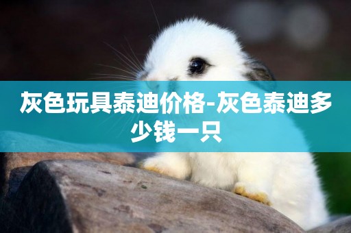 灰色玩具泰迪價格-灰色泰迪多少錢一只