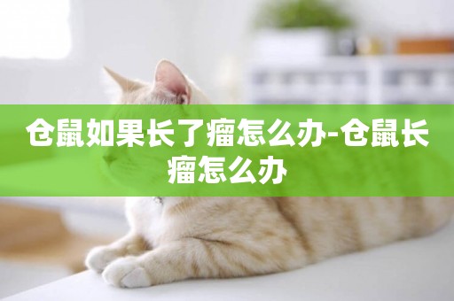 倉鼠如果長了瘤怎么辦-倉鼠長瘤怎么辦
