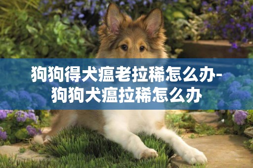 狗狗得犬瘟老拉稀怎么辦-狗狗犬瘟拉稀怎么辦