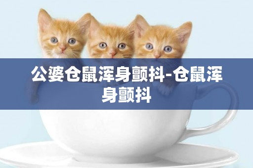 公婆倉鼠渾身顫抖-倉鼠渾身顫抖