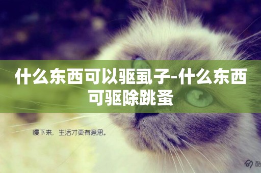什么東西可以驅虱子-什么東西可驅除跳蚤