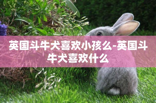 英國斗牛犬喜歡小孩么-英國斗牛犬喜歡什么